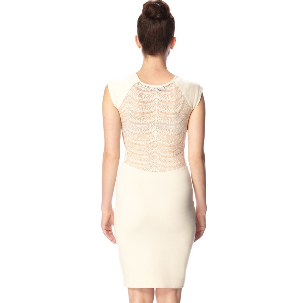 BNWT French Connection Lace Back Dress